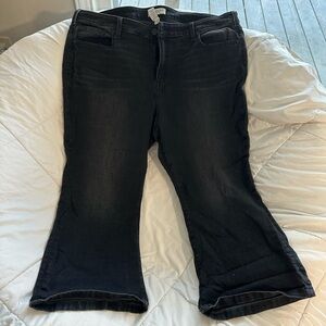 Lane Bryant Black Jeans